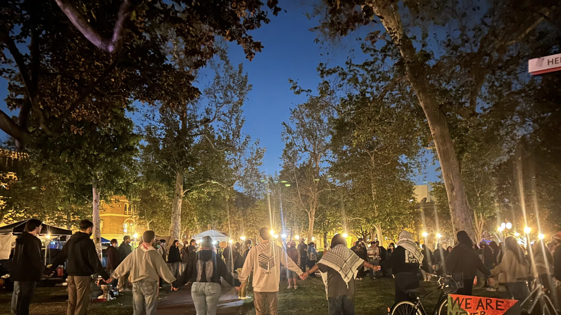 People with the backs turned hold hands against a dark blue evening sky and trees, illuminated by lights in the background.